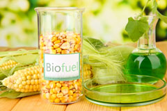 Welsh Bicknor biofuel availability